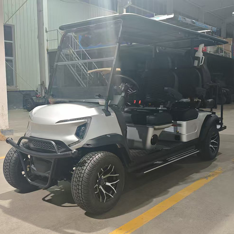 Custom Golf Cart 3 / 4 / 8 Seater Forward Facing Car Electric Mgi With Air Conditioner Golf Cart