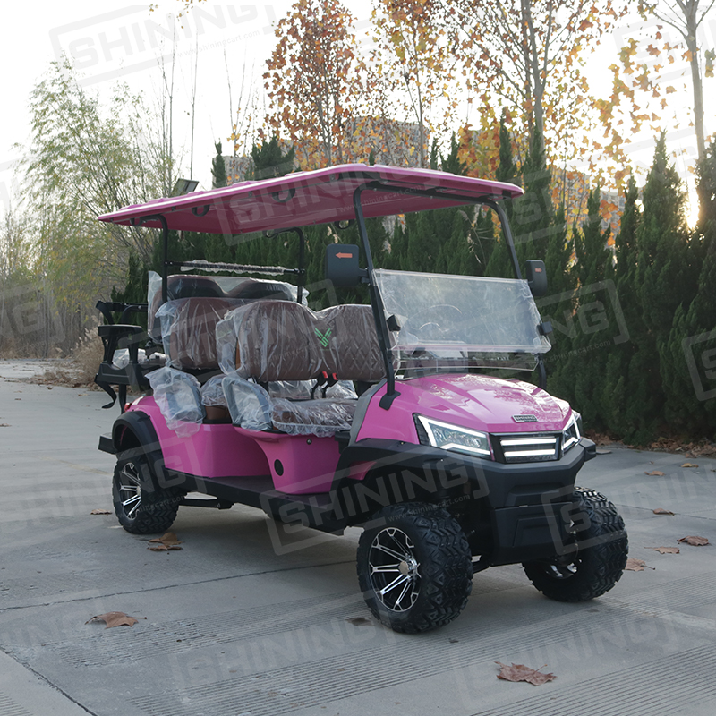 Shininglsv Electric 48V 6 Seater Golf Cart with Lithium Battery CE Certified for Holiday Resort &amp; Airport Use
