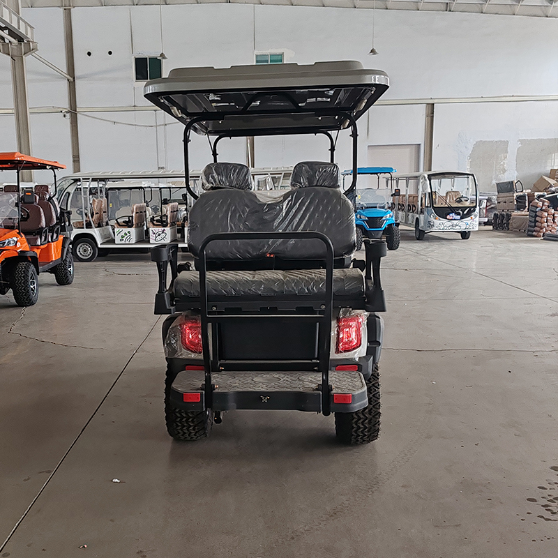 Custom Golf Cart 3 / 4 / 8 Seater Forward Facing Car Electric Mgi With Air Conditioner Golf Cart