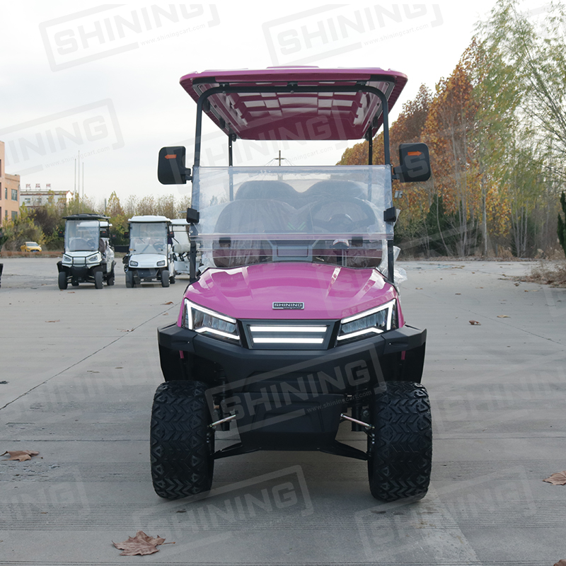Shininglsv Electric 48V 6 Seater Golf Cart with Lithium Battery CE Certified for Holiday Resort &amp; Airport Use