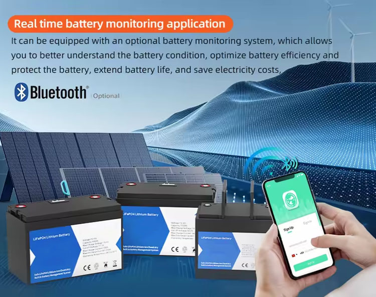 Smart Golf Cart 48V Lithium Ion Battery Pack Deep Cycle 200Ah Baterias De Litio 24V Lifepo4 Battery Rechargeable