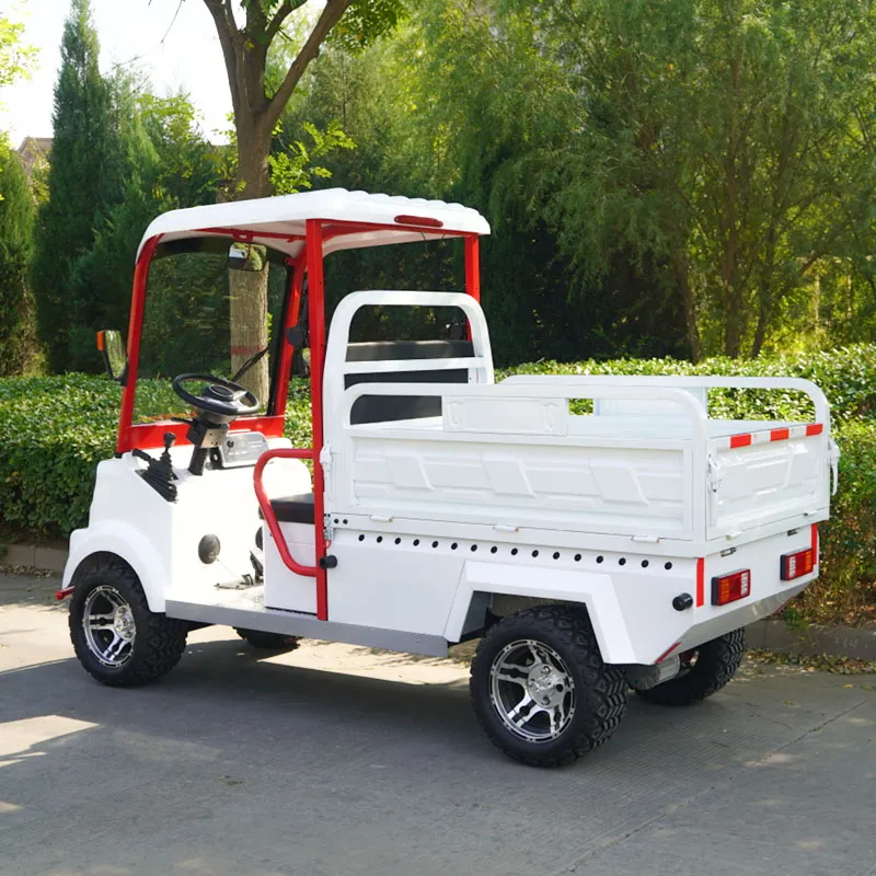 Electric vehicle detail 1