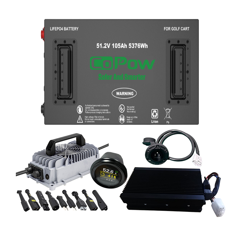 Fast Charging Customized Electric 48V Golf Cart Lithium Battery Pack 36V 48V 72V 100Ah 200Ah 300Ah Lifepo4 Golf Cart Battery