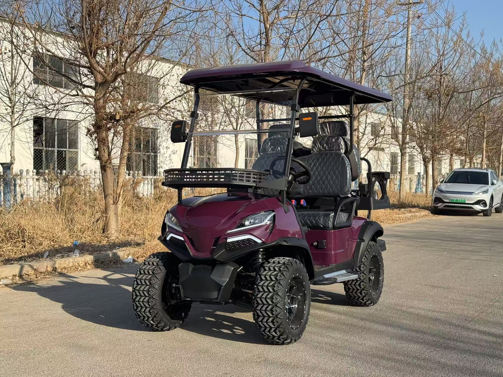 Shandong Factory Price 2 Seat 4 Seater 6 Seat 8 Seat Electric Golf Cart For Sales