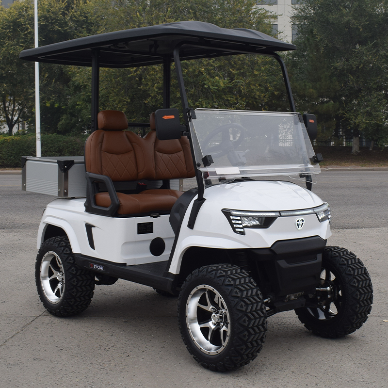 Golf Cart Electric 2 Seater Price Chinese Electric Golf Carts for Sale Passenger Golf Carts