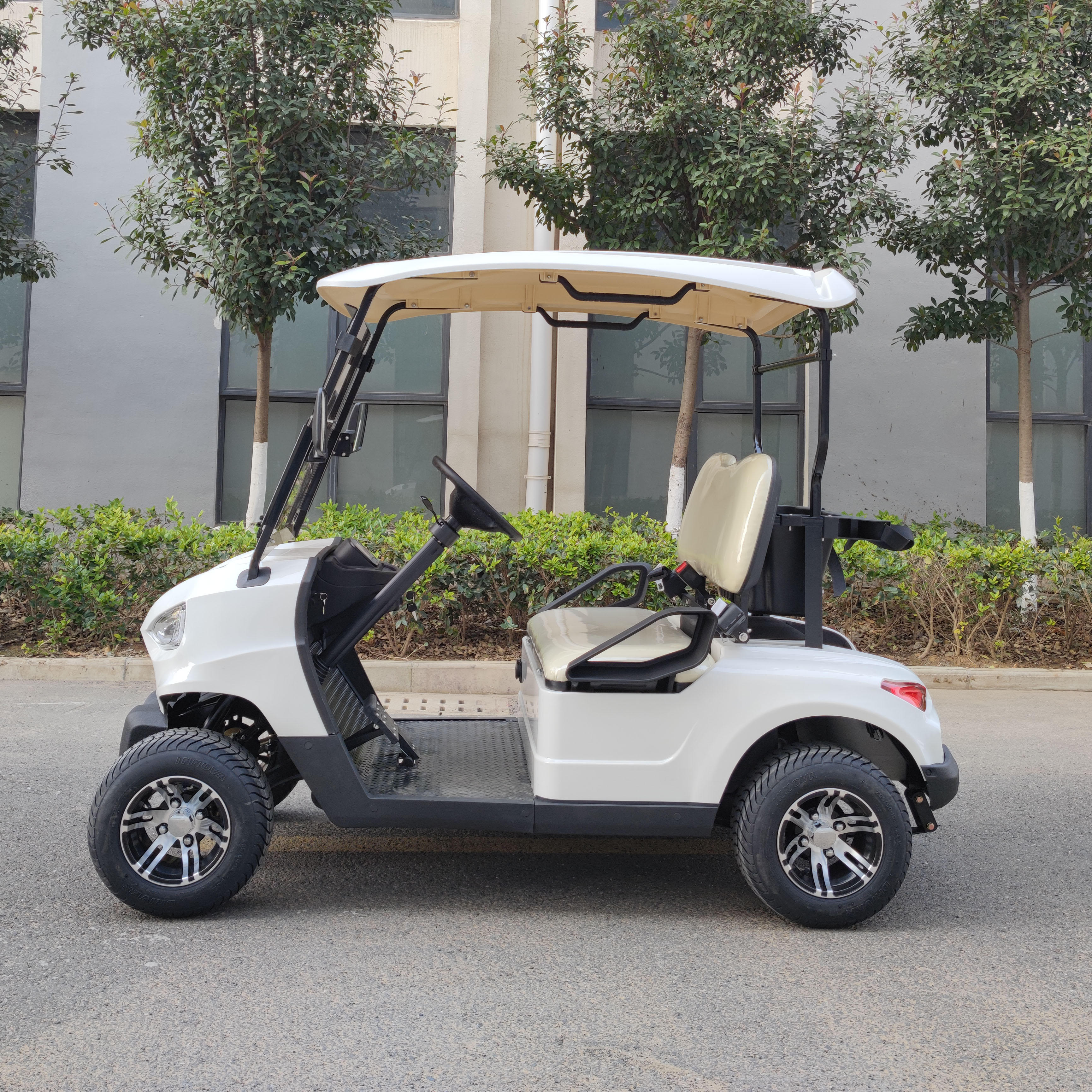 Custom Golf Cart for Promotion