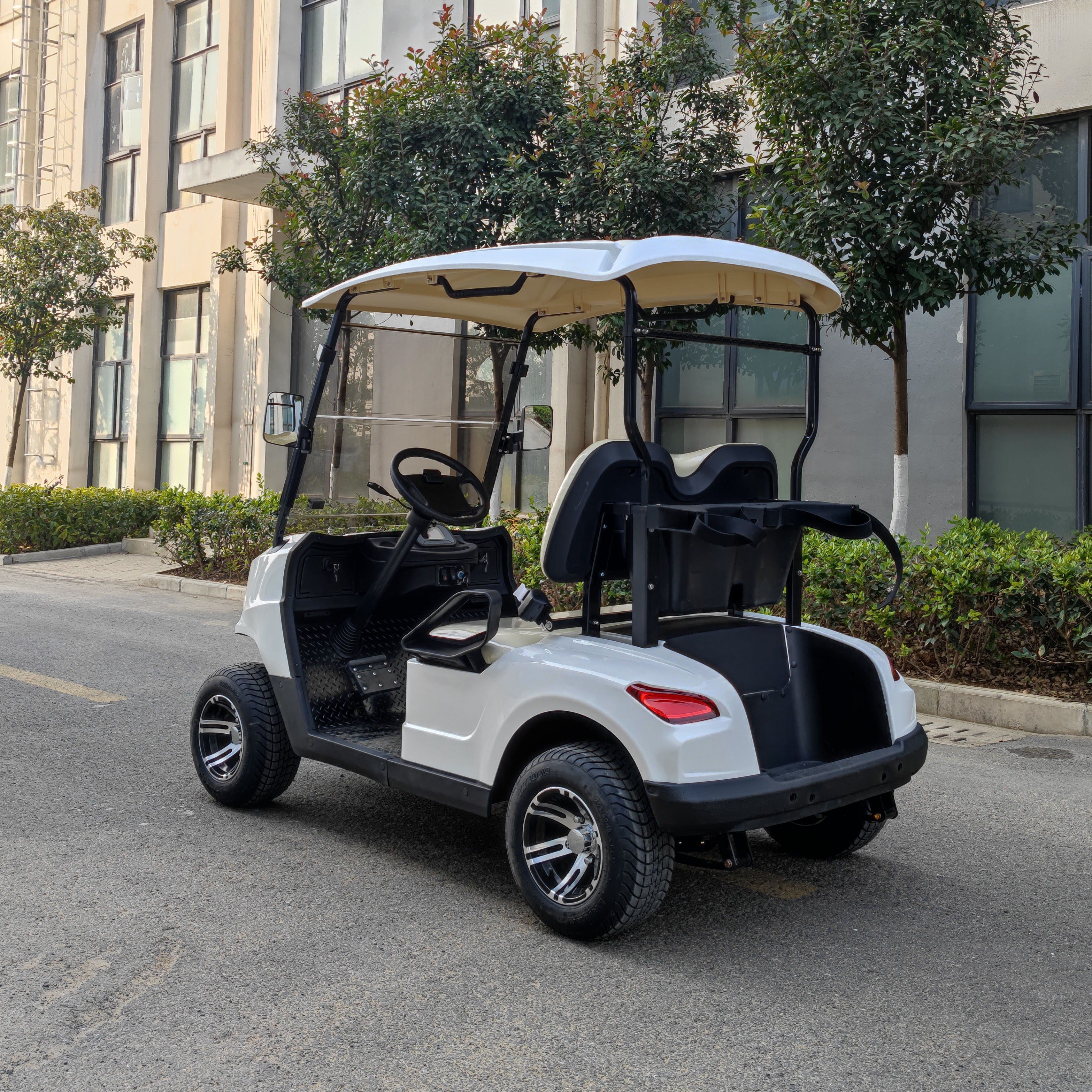 Custom Golf Cart for Promotion