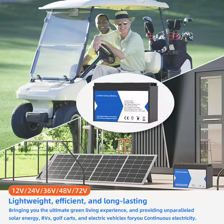 Smart Golf Cart 48V Lithium Ion Battery Pack Deep Cycle 200Ah Baterias De Litio 24V Lifepo4 Battery Rechargeable