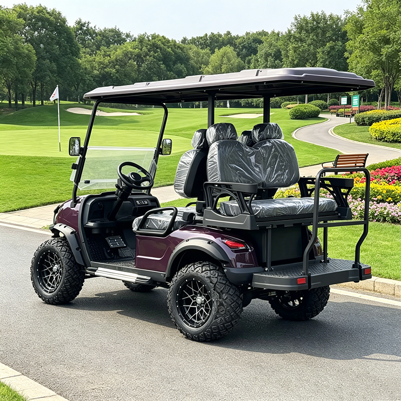 6 Seater Electric Golf Cart for Hotel and Resort Electric Sightseeing Car