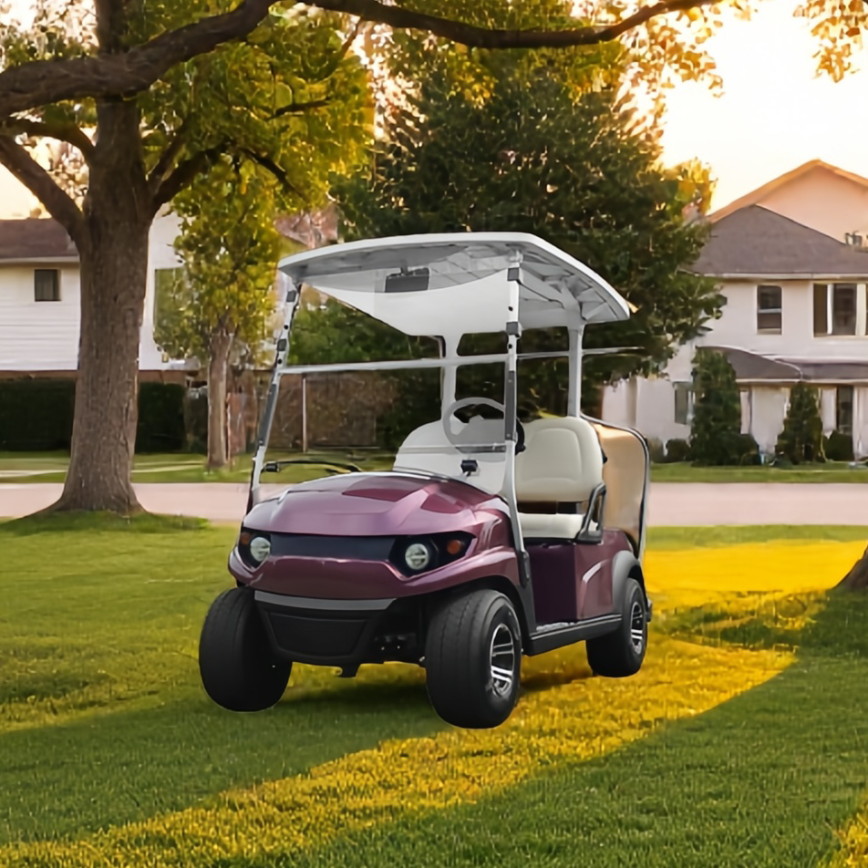 Wholesale Price 2 Seater Electric Golf Cart for Hotel Airport Use Lithium Battery Golf Buggy Free Maintenance Golf Cart on Sale