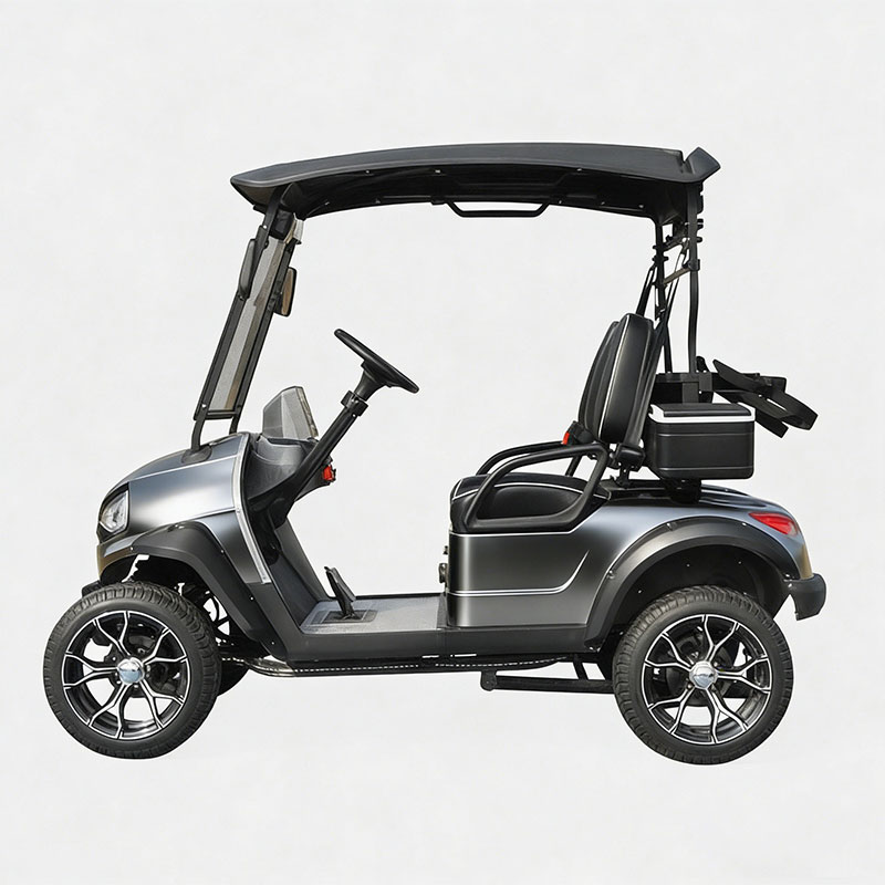 Eco Friendly 2 Seater Electric Golf Cart Manufacture for Campus and Resort Use