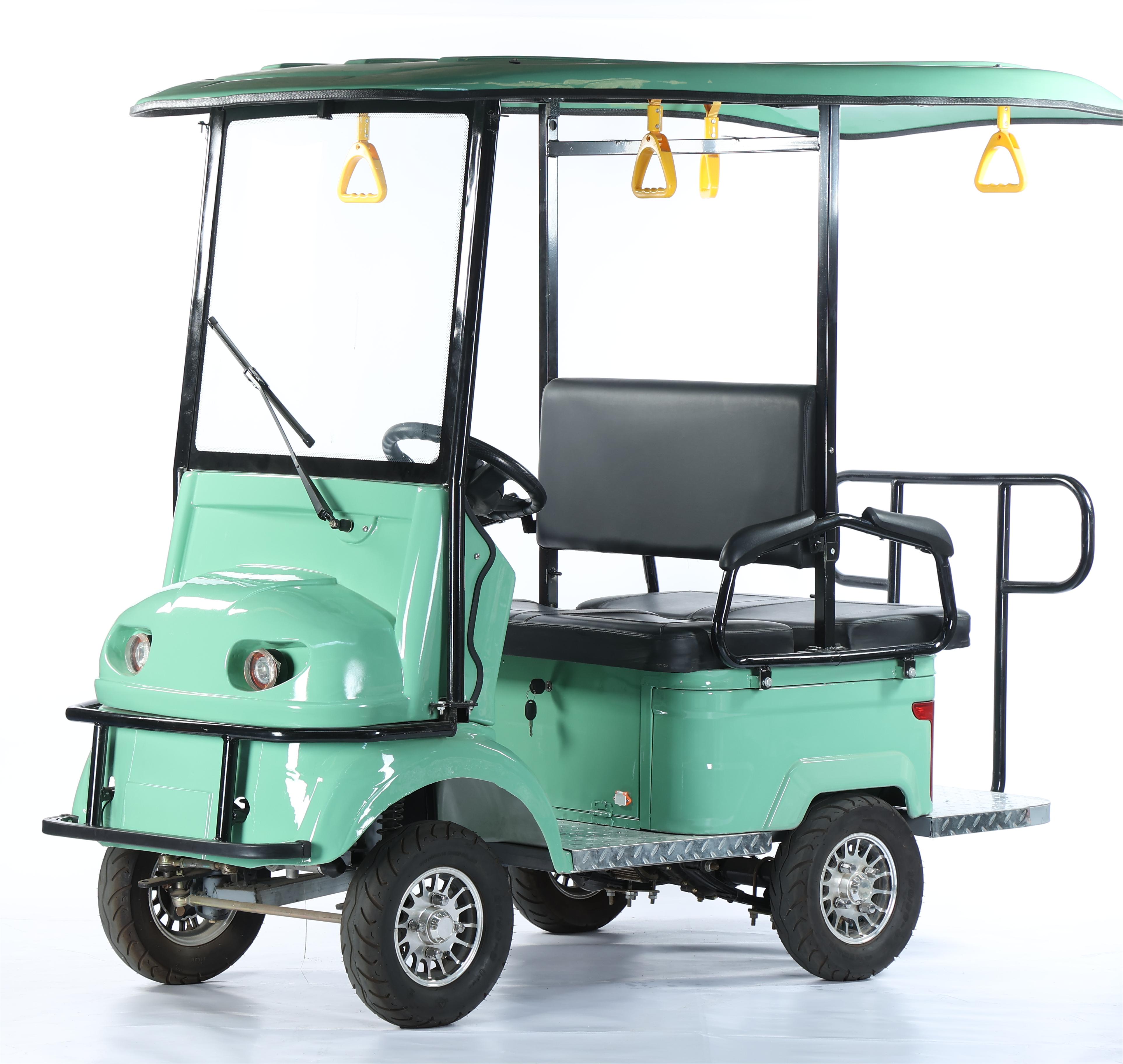 Sightseeing Golf Cart Overview