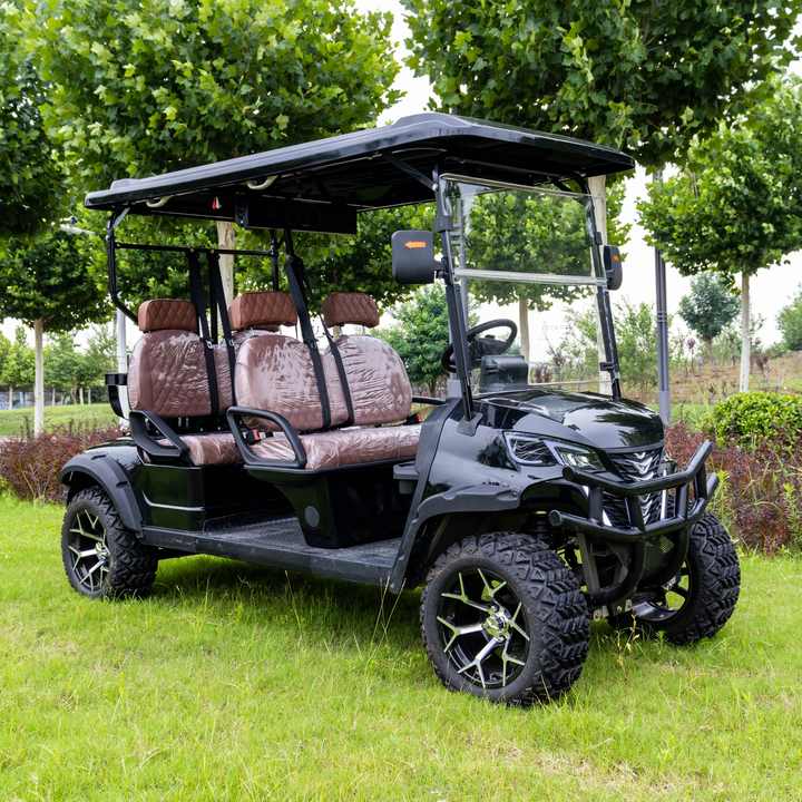 Petzanya Electric Golf Cart Battery Operated 30-50Km/h 70-90km Range 3-4 Seats 24V Battery Eec/Dot/CE/GCC Certified 15-20