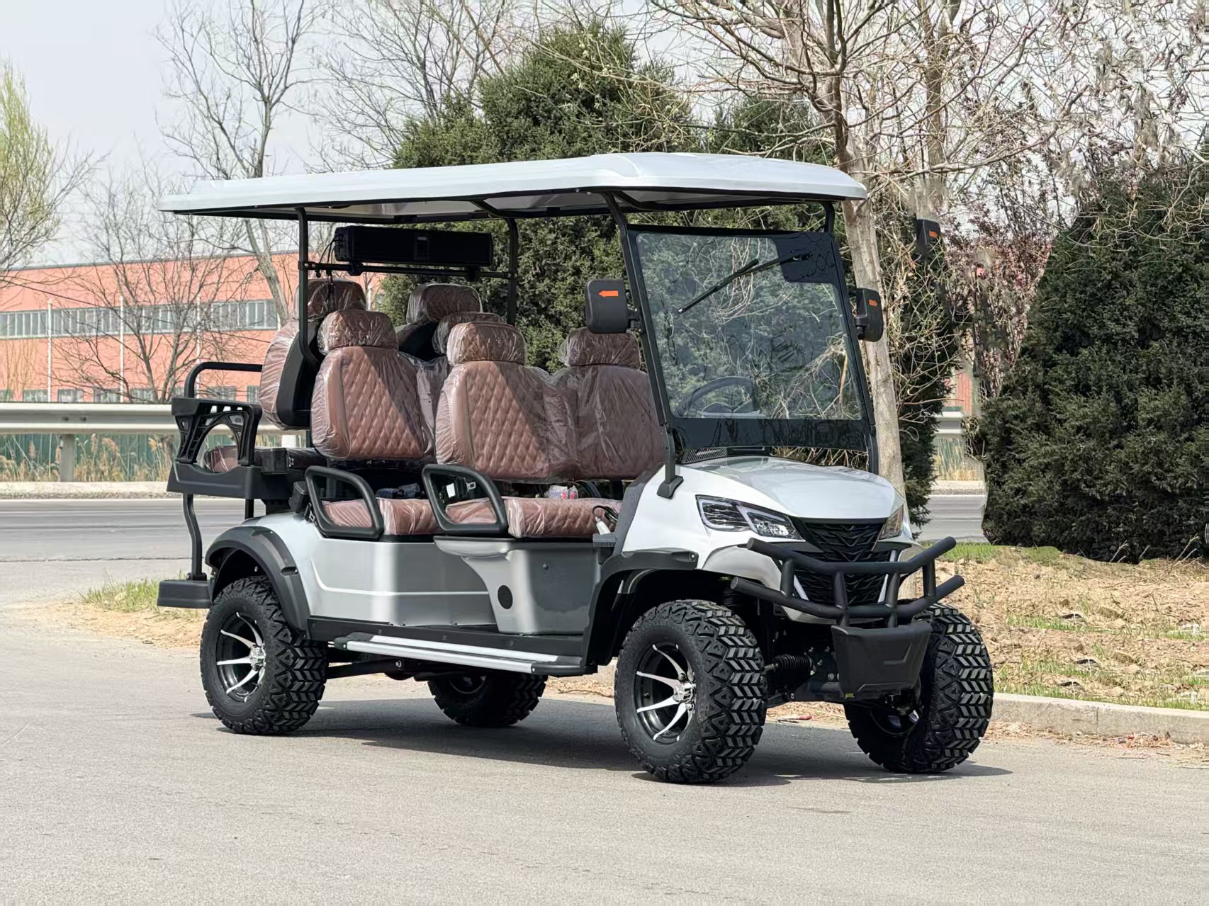Golf Cart Details 3