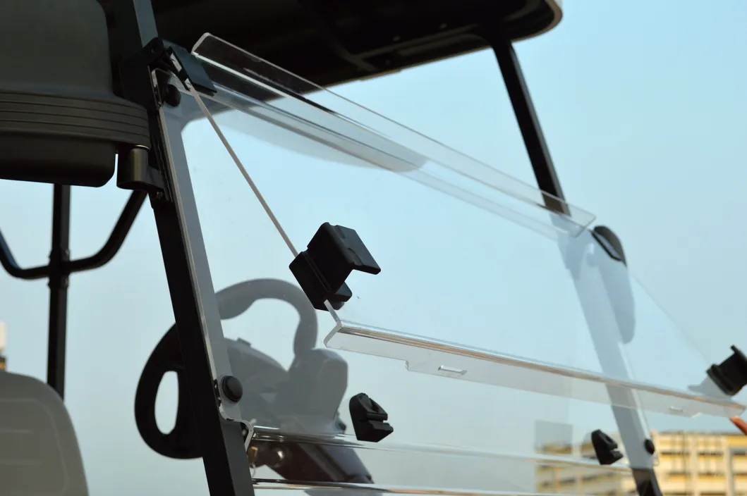 Windshield Close-up