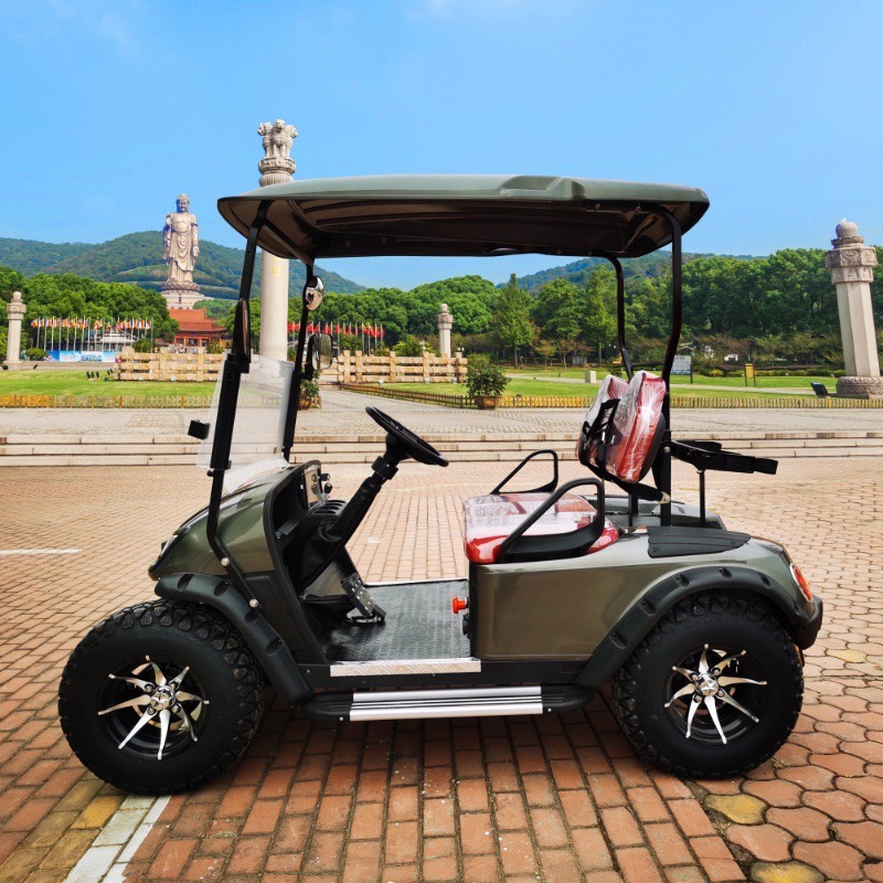 2025 Custom Design Parison 2 Seater Golf Cart Colorful Electric Motor Sightseeing Resort Hotel Outdoor 2025SDZX12PTPR21604