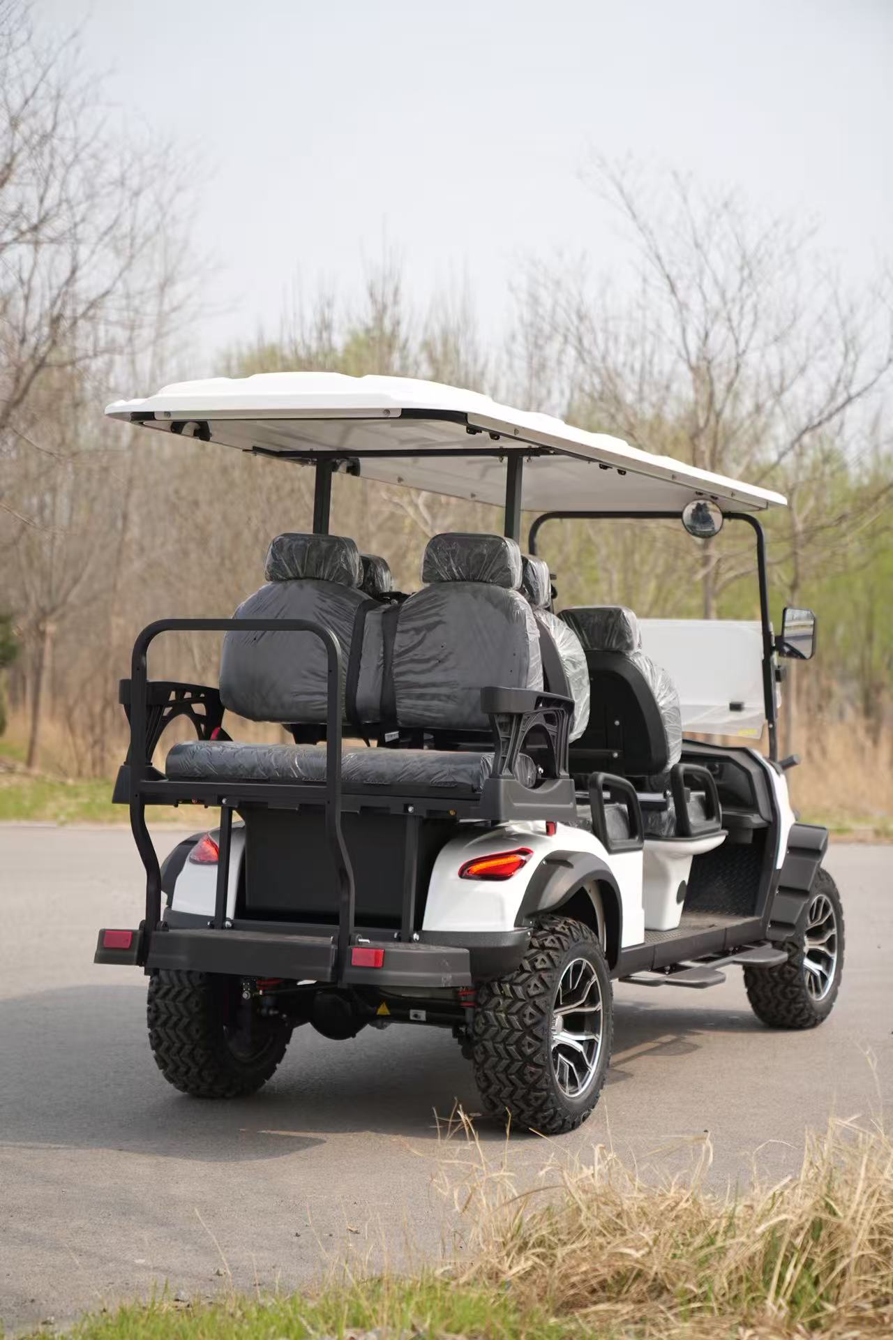 Sightseeing 4 Seater Electric Golf Cart EEC Certified 48V 5KW Hotel Airport Community Scenic Spots Urban Mobility Vehicle