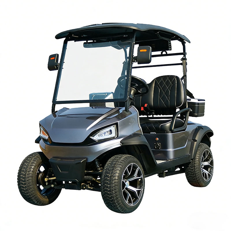 Eco Friendly 2 Seater Electric Golf Cart Manufacture for Campus and Resort Use