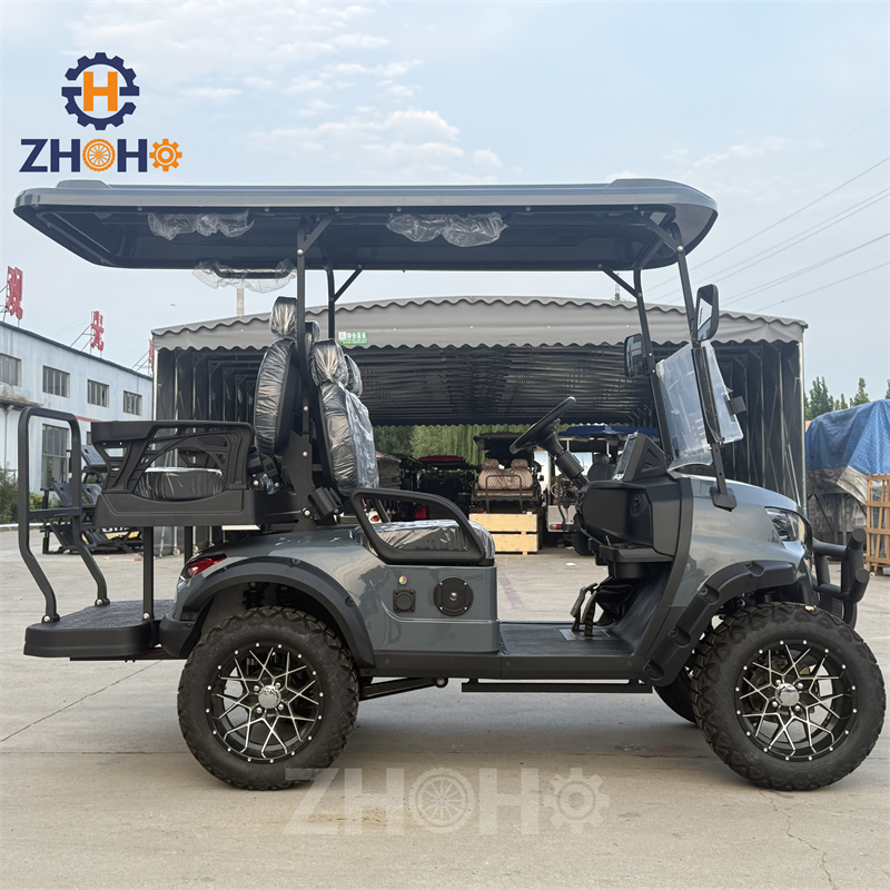 New Energy 5kW 48V Lithium Street Legal Golf Buggy Car off Road Suitable for Farms, Beaches, and Parks