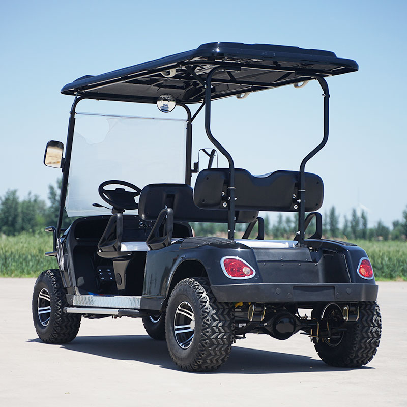 Sightseeing Vehicle