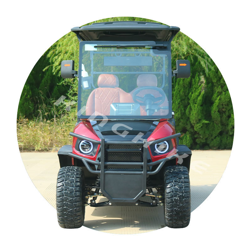 Street Legal ODM Custom Golf Cart 2 4 6 8 Seats Seater Hunting off Road Electric Golf Carts with Curtis Controller