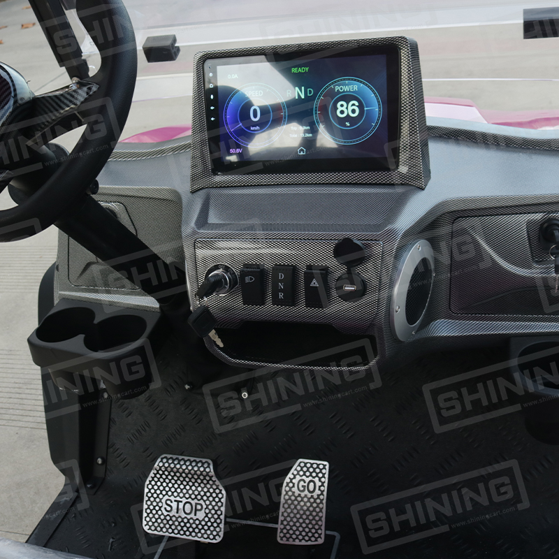 Shininglsv Electric 48V 6 Seater Golf Cart with Lithium Battery CE Certified for Holiday Resort &amp; Airport Use