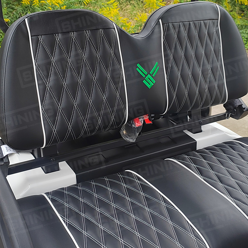 Shininglsv Electric 2-Seater Golf Carts Electric Lithium Electric Golf Cart for Sale