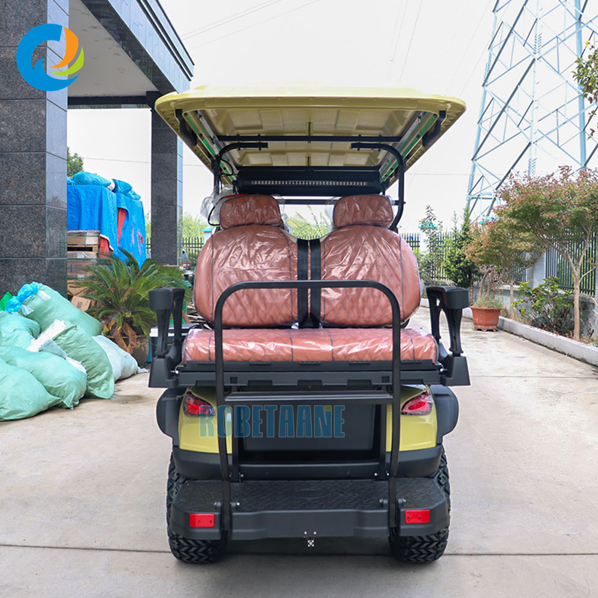 Robetaa Hot Sale 6 Seater Golf Car Battery Power Electric Golf Cart for Resort Use Hotel