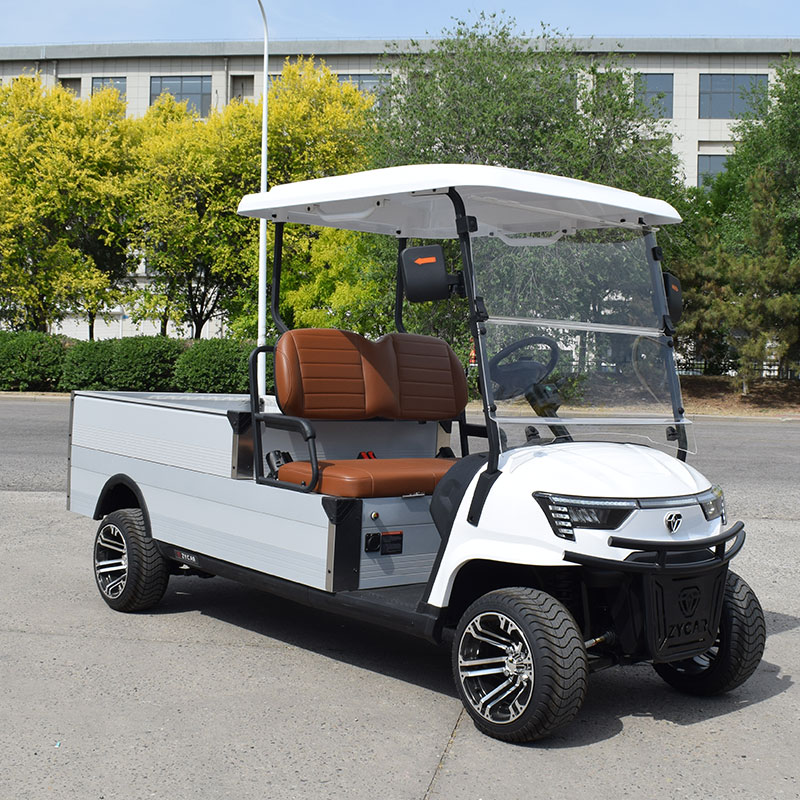 Electric vehicle view 2