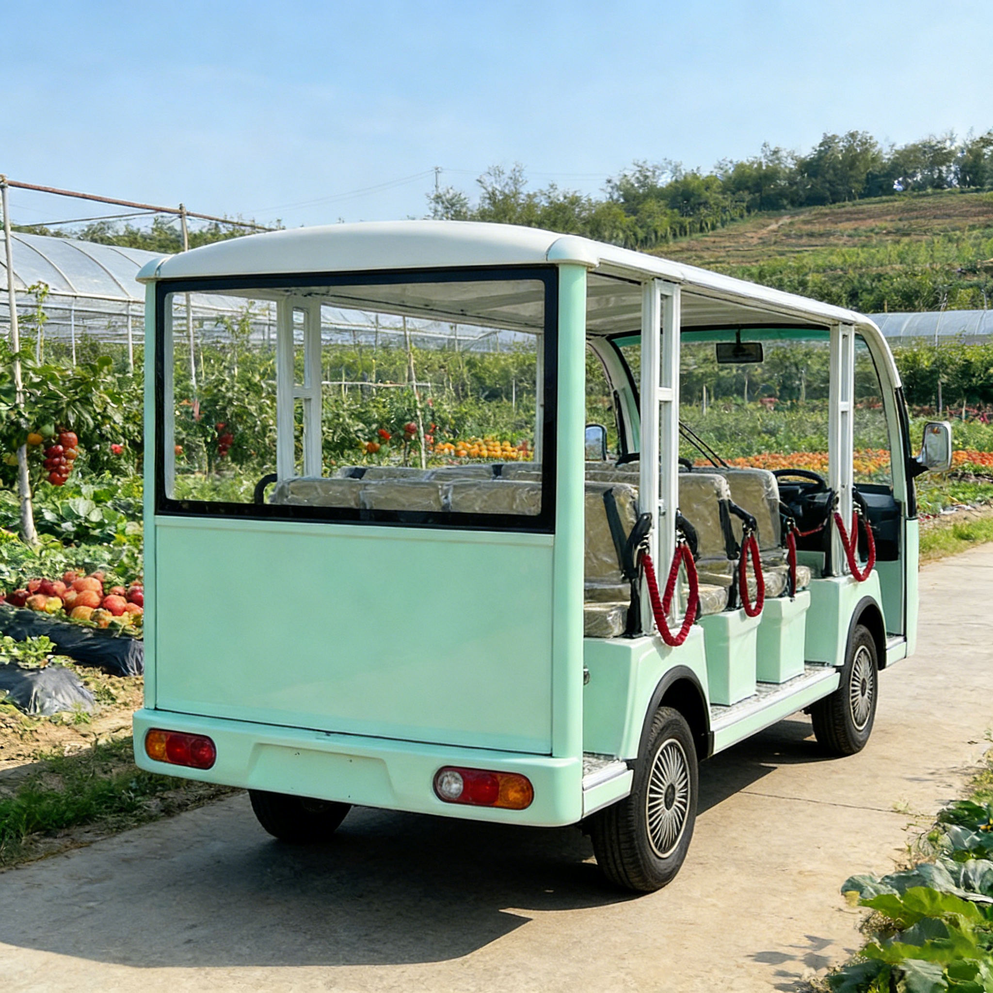 WOLAN Supplier 14 Seater Spacious Electric Golf Cart with Luggage Rack for Hotel Airport Transfer