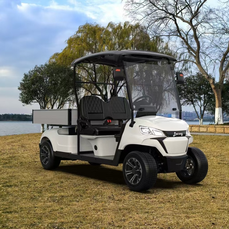 Electric Utility Vehicle Angle 1