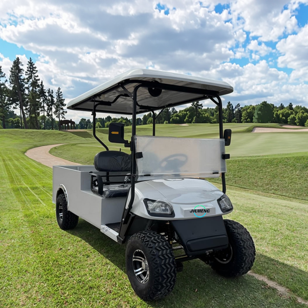 2-Seater Electric Golf Cart with 5kw Weight Metal Steel Sheet Body Lithium Battery Golf Cart Utility Burden Carrier