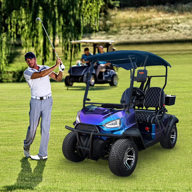 2024 New Style Battery Solar 6 Seaters Off-Road Electric Golf Cart Buggy Street Legal
