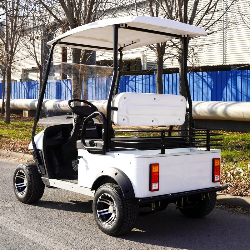 Electric Golf Cart View 6