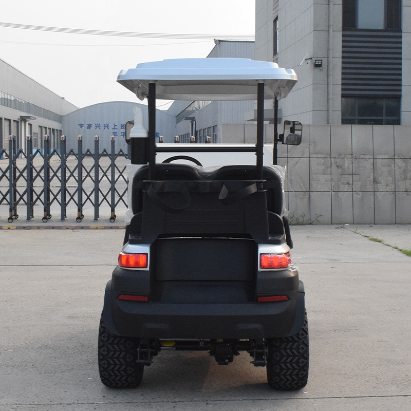 Hot selling manufacturer customized golf cart electric golf cart 5-6 seat mini electric golf cart