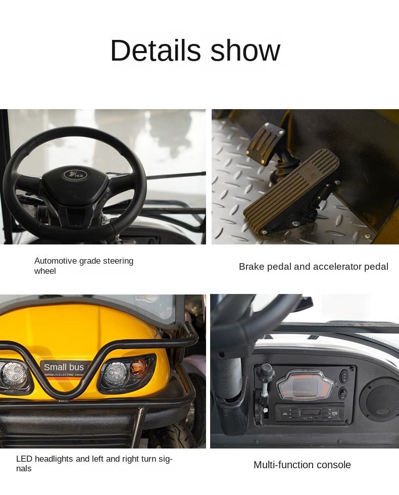 Electric golf cart details