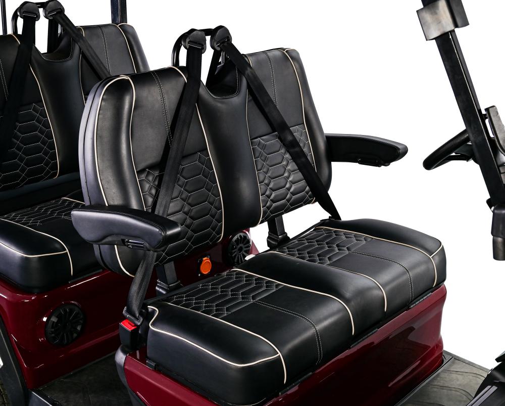 Electric Golf Cart Seat View