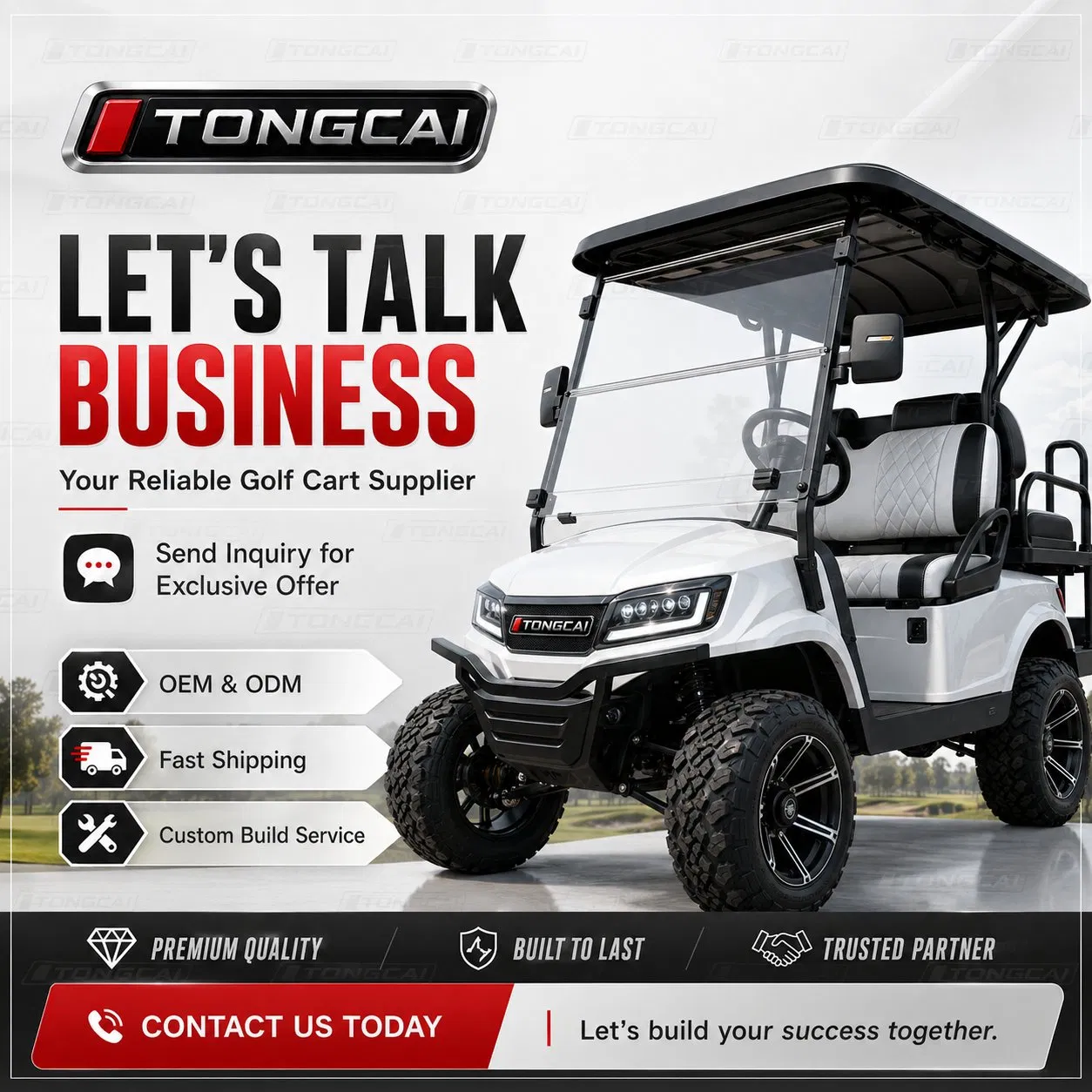 Tongcai Industrial Grade Electric Utility Golf Cart with Cargo Box for Warehouse