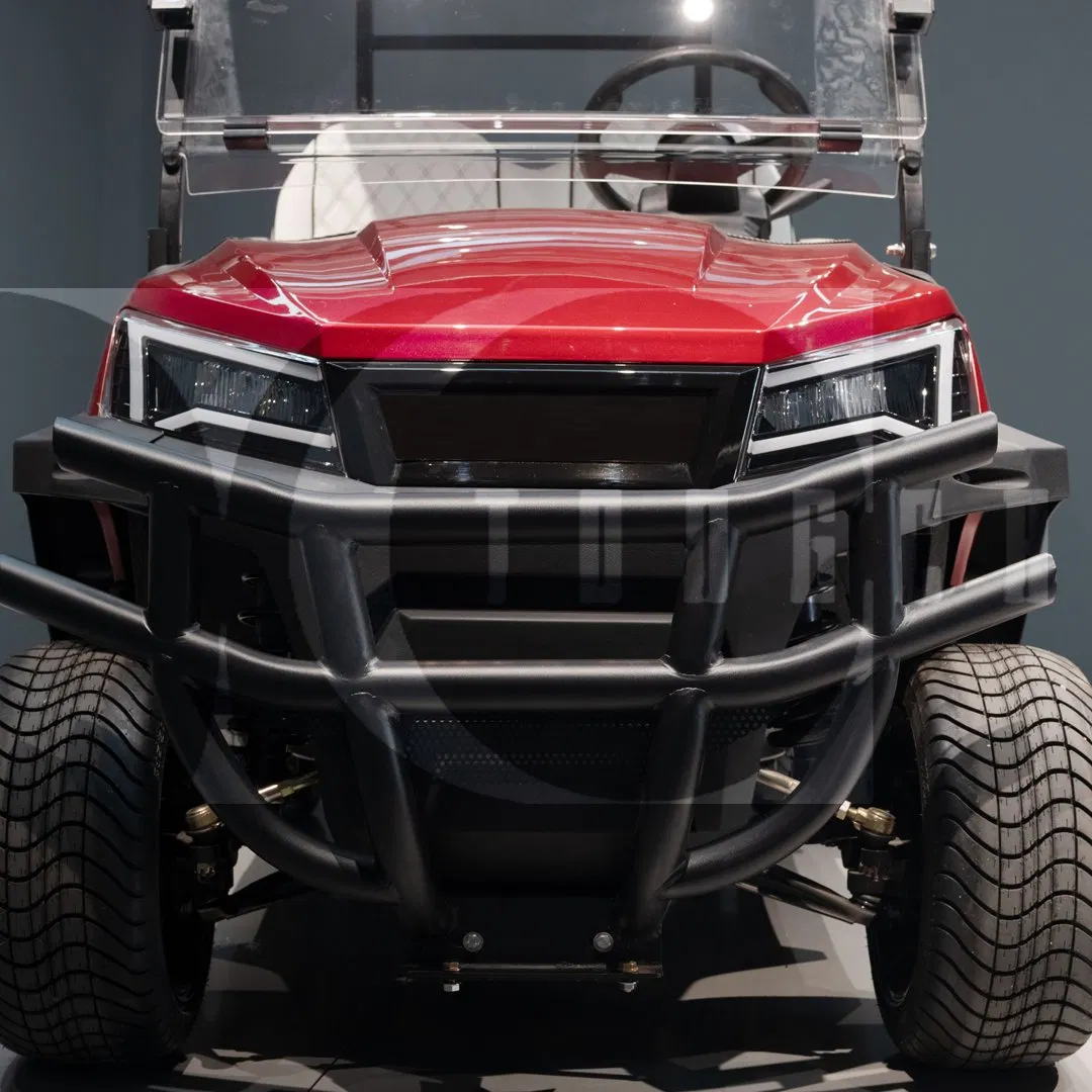 Own Brand Low Noise Club Golf 4 Seater Electric Golf Cart/Buggy for Industrial Park Inspection