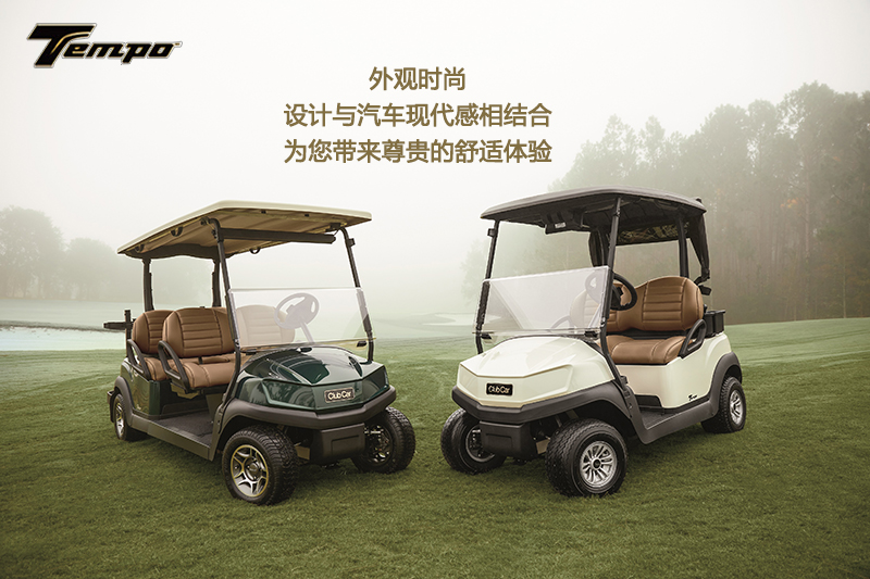 Golf Cart Accessory 4