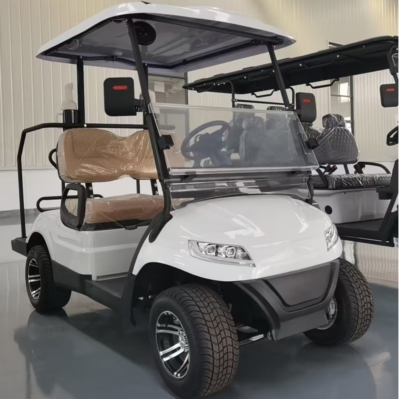 Fast and Intelligent Charging Electric 2-Seater Golf Cart CE Certified Lithium Battery Long Range Low Maintenance Golf Buggy