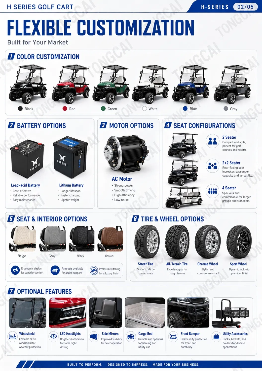Electric Golf Cart/Buggy Product View 2