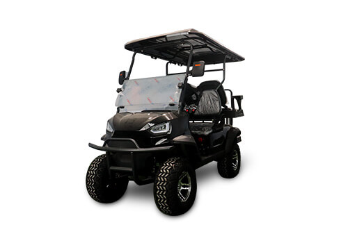 Electric Golf Cart Color Options 2