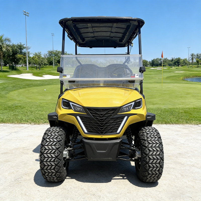 WOLAN Factory Supply Intelligent Electronic Control Utility Golf Cart with Heavy Duty Storage for Construction