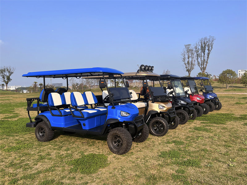 Electric Golf Cart 1