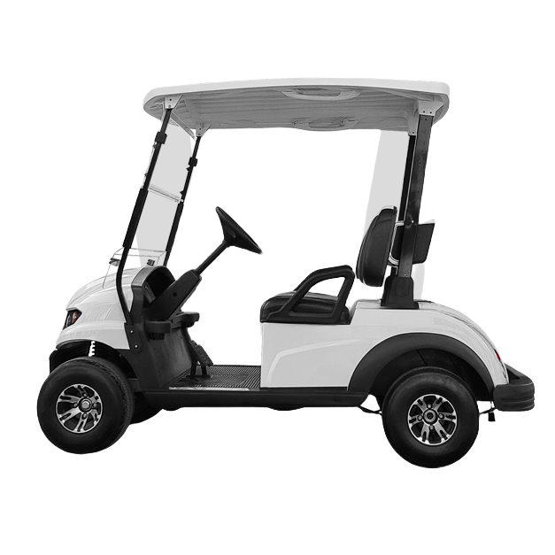 Top Quality 2 Seater Electric Sightseeing Bus Car Hotel Tourist Sightseeing Buggy Campus Park Golf Cart Made in China