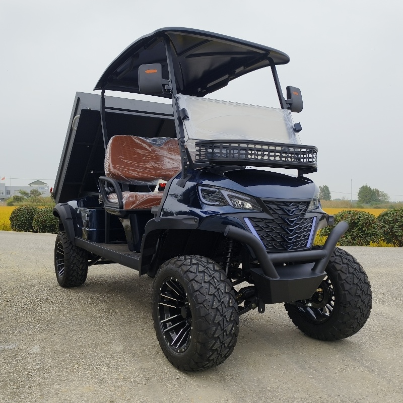 Electric Utility Vehicle Angle 2