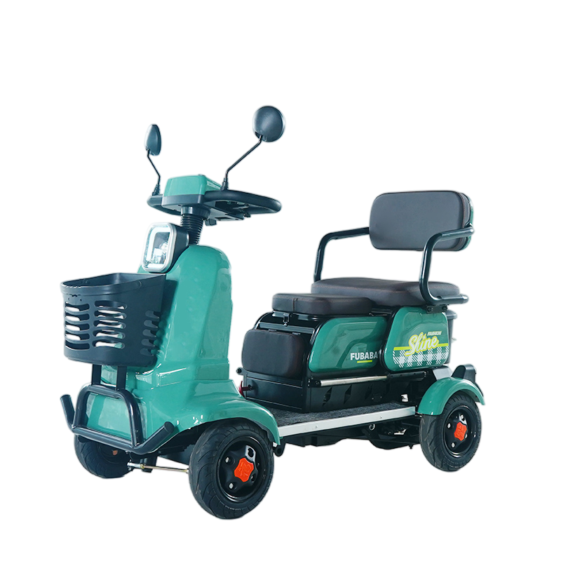 Leisure Electric Vehicle