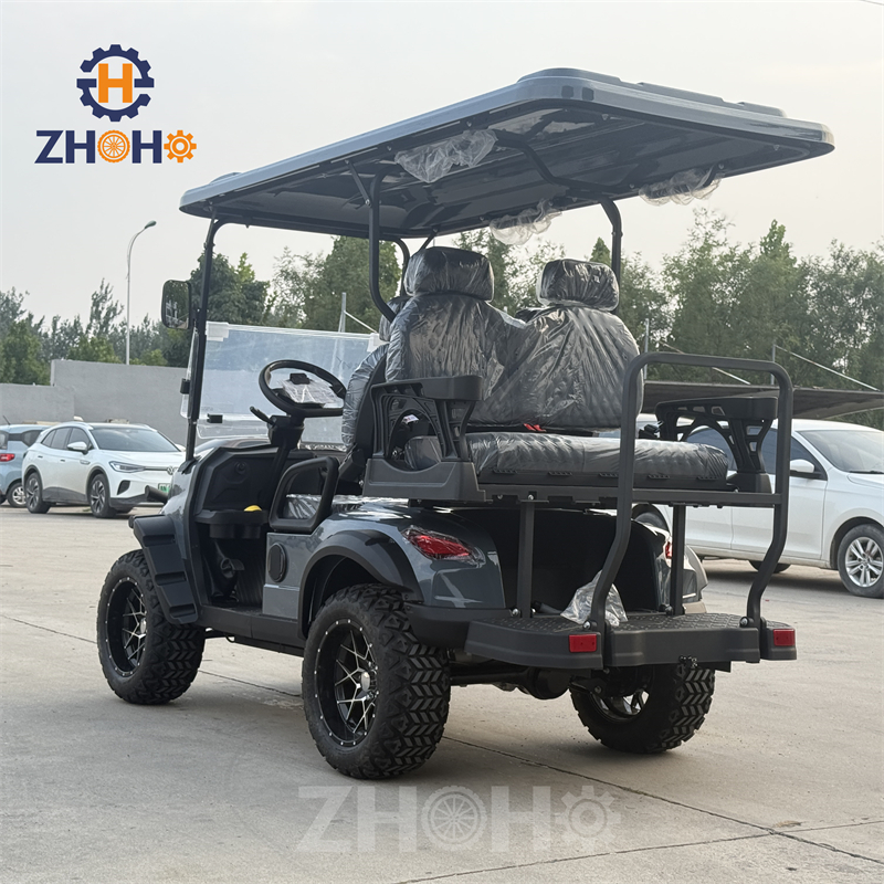 New Energy 5kW 48V Lithium Street Legal Golf Buggy Car off Road Suitable for Farms, Beaches, and Parks