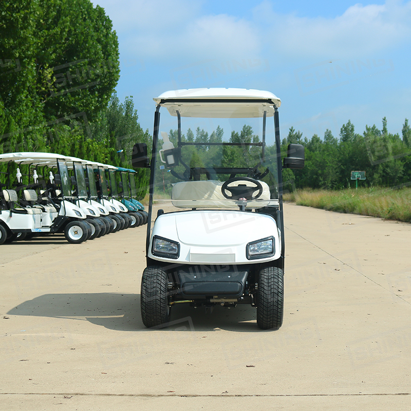 Shininglsv Cart Enclosure Rain Curtain Utility Car Mini 2 Seater Golf Cart